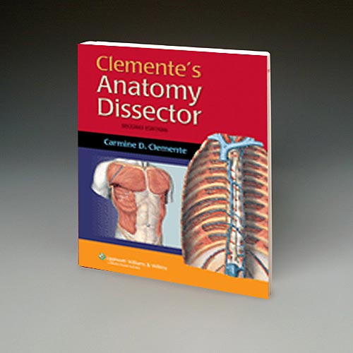 CLEMENTE'S ANATOMY DISSECTOR - Click Image to Close