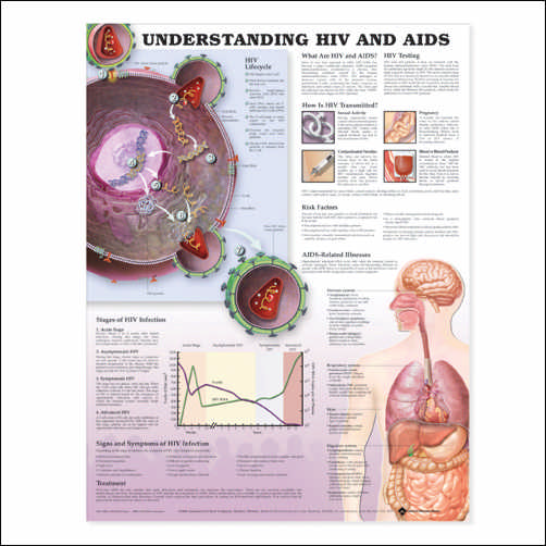 UNDERSTANDING HIV AND AIDS FLEXIBLE LAMINATION - Click Image to Close