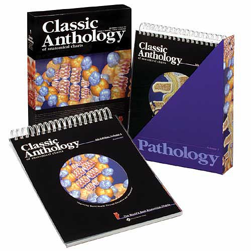 CLASSIC ANTHOLOGY OF ANATOMICAL CHARTS - 7TH EDITION - Click Image to Close