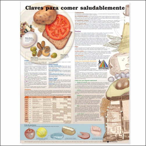 KEYS TO HEALTHY EATING IN SPANISH PAPER UNMOUNTED - Click Image to Close