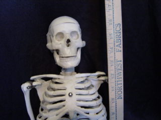 MR. THRIFTY SKELETON (4TH QUALITY) - Click Image to Close