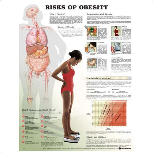 RISKS OF OBESITY – STYRENE - Click Image to Close