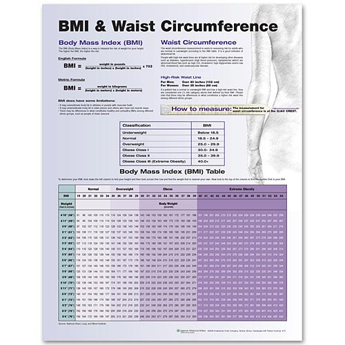 BMI & WAIST CIRCUMFERENCE LAMINATED CHART - Click Image to Close