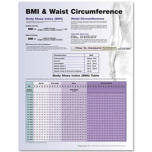 Acsm Waist Circumference Chart