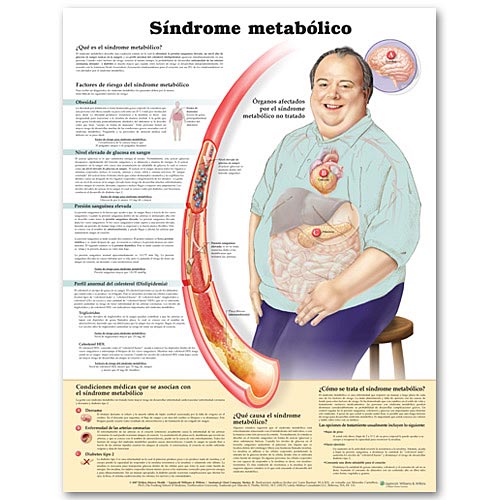 METABOLIC SYNDROME IN SPANISH PAPER CHART - Click Image to Close