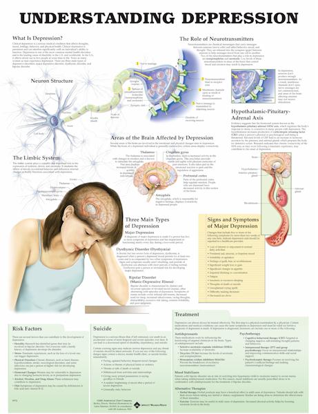 UNDERSTANDING DEPRESSION ANATOMICAL CHART UNMOUNTED CHART - Click Image to Close