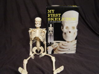 MY FIRST SKELETON (TINY TIM) - Click Image to Close