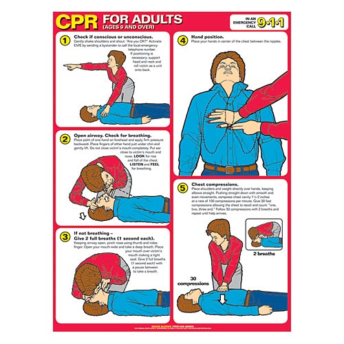 CPR FOR ADULTS CHART - Click Image to Close