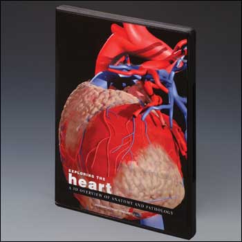 EXPLORING THE HEART: 3D OVERVIEW OF ANATOMY & PATHOLOGY CD ROM - Click Image to Close