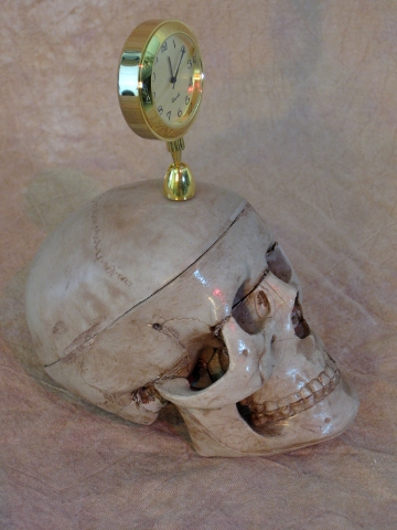 Skull with Clock - Click Image to Close