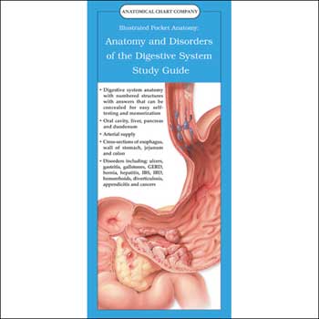 ILLUSTRATED POCKET ANATOMY: ANATOMY AND DISORDERS OF THE DIGEST - Click Image to Close
