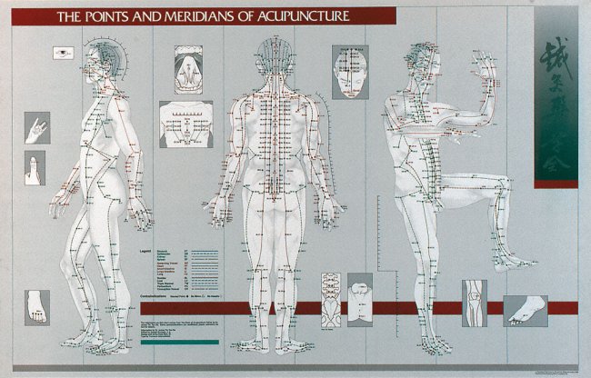 POINTS AND MERIDIANS OF ACUPUNCTURE LAMINATED CHART - Click Image to Close