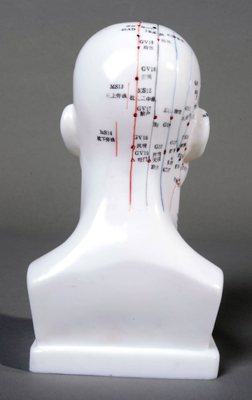Male Head Acupuncture Model - Click Image to Close
