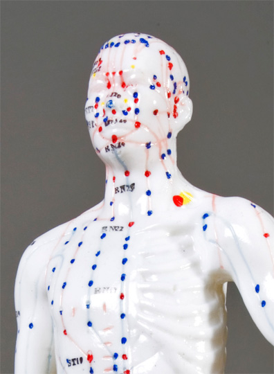 11" Male Acupuncture Model - Click Image to Close