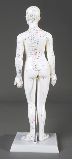 19" Female Acupuncture Model - Click Image to Close