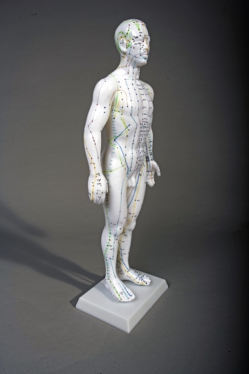20" Male Acupuncture Model - Click Image to Close