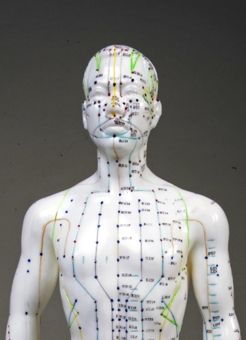 20" Male Acupuncture Model - Click Image to Close