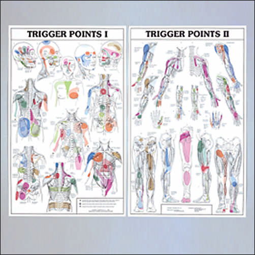 Trigger Point Chart Set Torso And Extremities